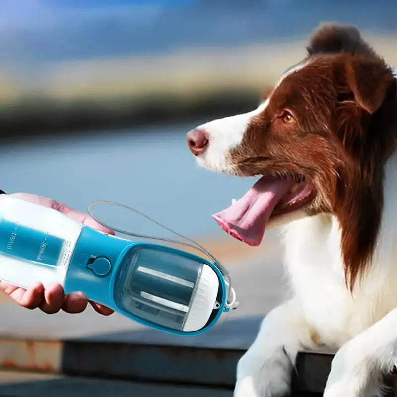 LovemyHome - Hundetrinknapf für Wasser und Futter